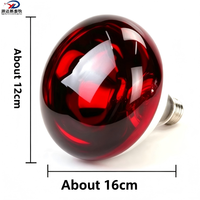 Ampoule chauffante infrarouge en verre trempé rouge 100W 150W pour l'élevage de volailles et le chauffage des poussins et des porcelets