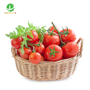 高品質のリコピン5% 10% トマトエキス - Product Image 2