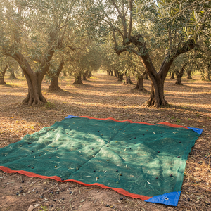 Rete a Ombrello per la Raccolta delle Olive - Product Image 1
