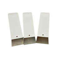 Raclette chauffante pour film de fenêtre, mini-raclette en acier pour éliminer les bulles et les plis lors de l'installation de la teinte sur les vitres automobiles