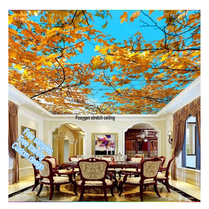 Chất lượng tốt nhất Hot Thiết kế phòng khách trần trang trí giá mềm 3D UV in PVC Stretch phim Trần cho trang trí nội thất - Product Image 1