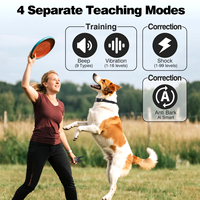 Neues Design Nylon Mode-Elektronisches Hunde-Belltrainingshalsband Wasserdicht Wiederaufladbar mit Mehreren Modi