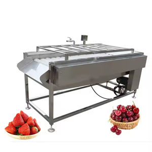 High Pressure 304 Stainless Steel Engine-Powered <b>Fruit</b> & <b>Vegetable</b> Washing <b>Machine</b> with Easy Operation - Product Image 2