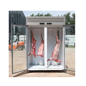 Refrigerador para Maduración de Carne en Seco DA150S <span class=keywords><strong>Pequeño</strong></span> para Filetes Gabinete Doméstico - Product Image 3