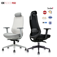 Support lombaire en maille pour chaise de bureau ergonomique, chaise de bureau en maille, livraison gratuite, chaise de patron