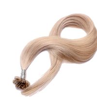 Extensions de cheveux longs et raides gris-or dégradé pour la confection de costumes de scène