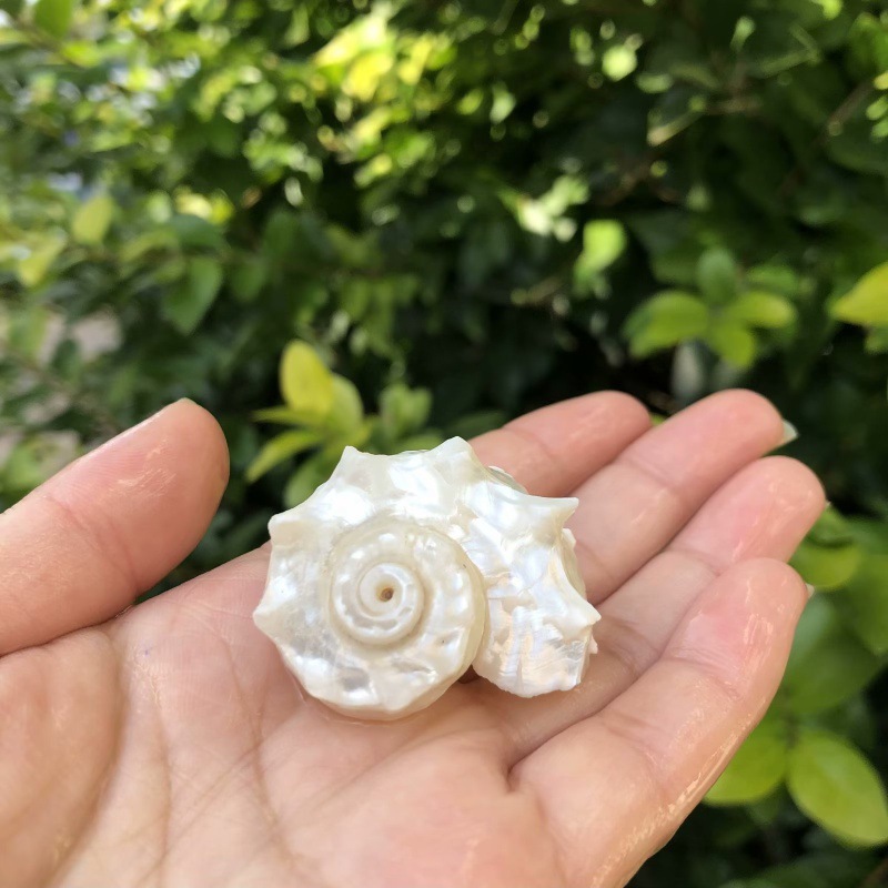 32 | Size 3-5cm | Open Size 1-2cm