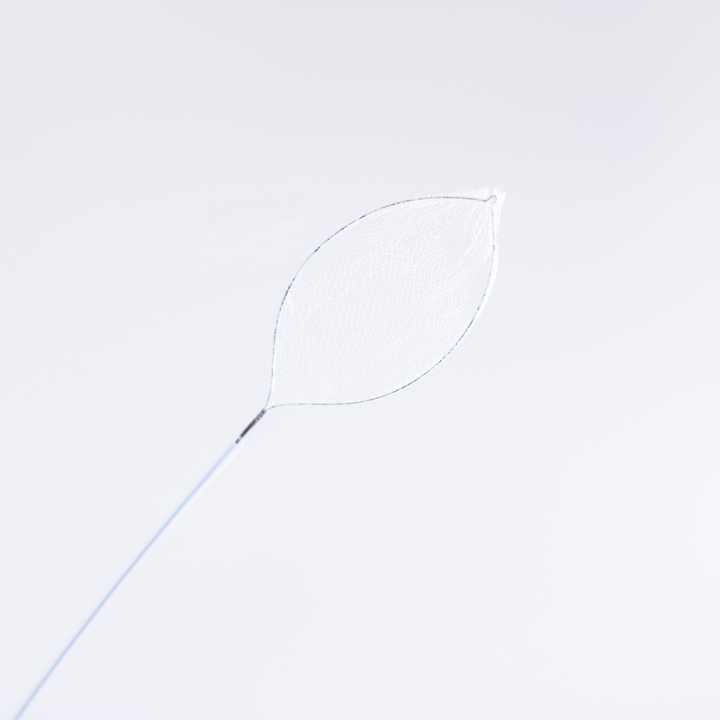 Grasping Forceps for Cholangioscopy Endoscopic Grasping Forceps