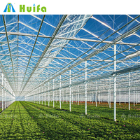 Serre moderne en verre Venlo du Nigeria pour légumes, serre commerciale multi-travées pour fleurs, serre avec système hydroponique pour tomates