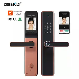 Griff Haustür Tuya Smart-Türschloss Finger abdruck Elektro-Home-Kit Smart Key Lock mit Kamera Smart Locks mit Kamera im Freien