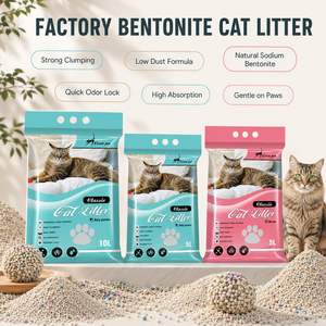 Reliable Supplier Arena Para Gato Bentonita Cat Litter <b>Sand</b> 10 Litter Low Dust Fast Clump for Pet Retailers - Product Image 1