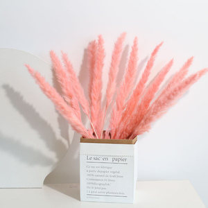 Decoración Vintage de lujo para oficina y hogar, flores secas pequeñas y rosas, hierba Pampas para decoración de boda, gran oferta - Product Image 2