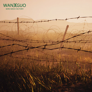 Nhà máy chuyên nghiệp nhà cung cấp độ bền kéo cao an ninh xoắn đôi mạ kẽm dây thép không gỉ chống leo lên lưới dây thép gai - Product Image 2