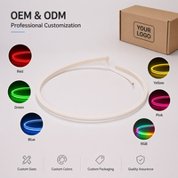 Bande LED DC 24V 60 LED à pixels individuels intelligents IP65, télécommande, étanche, silicone RGB pour éclairage LED 6500K