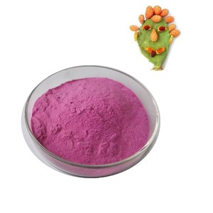 Poudre <span class=keywords><strong>de</strong></span> fruit <span class=keywords><strong>de</strong></span> <span class=keywords><strong>figue</strong></span> <span class=keywords><strong>de</strong></span> <span class=keywords><strong>Barbarie</strong></span> biologique en gros - Product Image 1