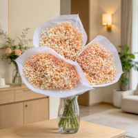 Bunga Gypsophila Kering Grosir, Buket Baby's Breath, Pengisi Bunga Bulat untuk Dekorasi Pernikahan dan Rumah
