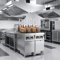 Marmite électrique de grande capacité avec paniers de levage de filtrage d'huile automatique Friteuse commerciale pour frites