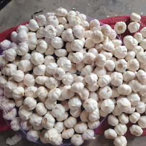 שום קציר מכונה טרי שום סולו טרי שום סולו לחקלאות - Product Image 1