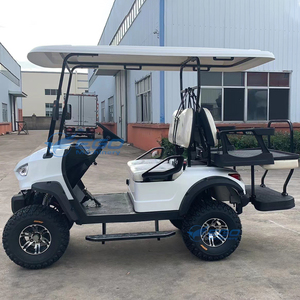 Carrito de Golf Eléctrico Personalizable de Cuatro Ruedas 2025 para Ocio y Turismo, Carrito de Paseo para Niños en Venta - Product Image 5