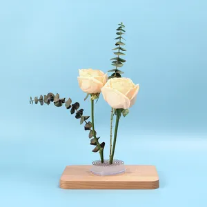 70mm Kunststoff japanische Ikebana Kenzan Blume Frosch Pin Runde benutzer definierte Logo Blume Frosch Bonsai Starter Kit für Blumen liebhaber
