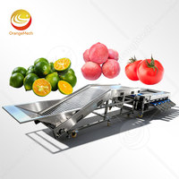 Orme Automatische Citrus Olijf Avocado Sorteermachine Ui Tomaat Kwaliteit Fruitmaat Sorteermachine Verkoop