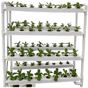 Canal de PVC para Cultivo Vertical Hidropónico Ecológico de Vegetales - Product Image 3