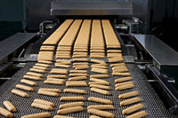 XILANG 150 Kg/h Ligne de production de biscuits à petite échelle Machine de fabrication de biscuits de qualité supérieure à bas prix