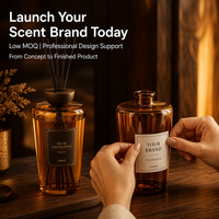 Diffuseur de parfum en verre 1L sans flamme, grande capacité, flacon Erlenmeyer, parfum longue durée pour chambre et salon