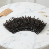 Extensions de cheveux à clips Afro Kinky Curly, prix d'usine en gros, extensions de cheveux vierges brésiliennes à clips