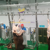 Ketel Mini peralatan Abattoir untuk dijual mesin pemotongan rumah hewan Halal garis penyembur sapi