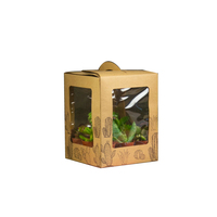 Emballage de transport de cactus transportant une boîte d'expédition de plantes d'intérieur pour succulentes