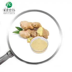 China suppliers black ginger root powder,10:1 ginger root extract, instant ginger powder