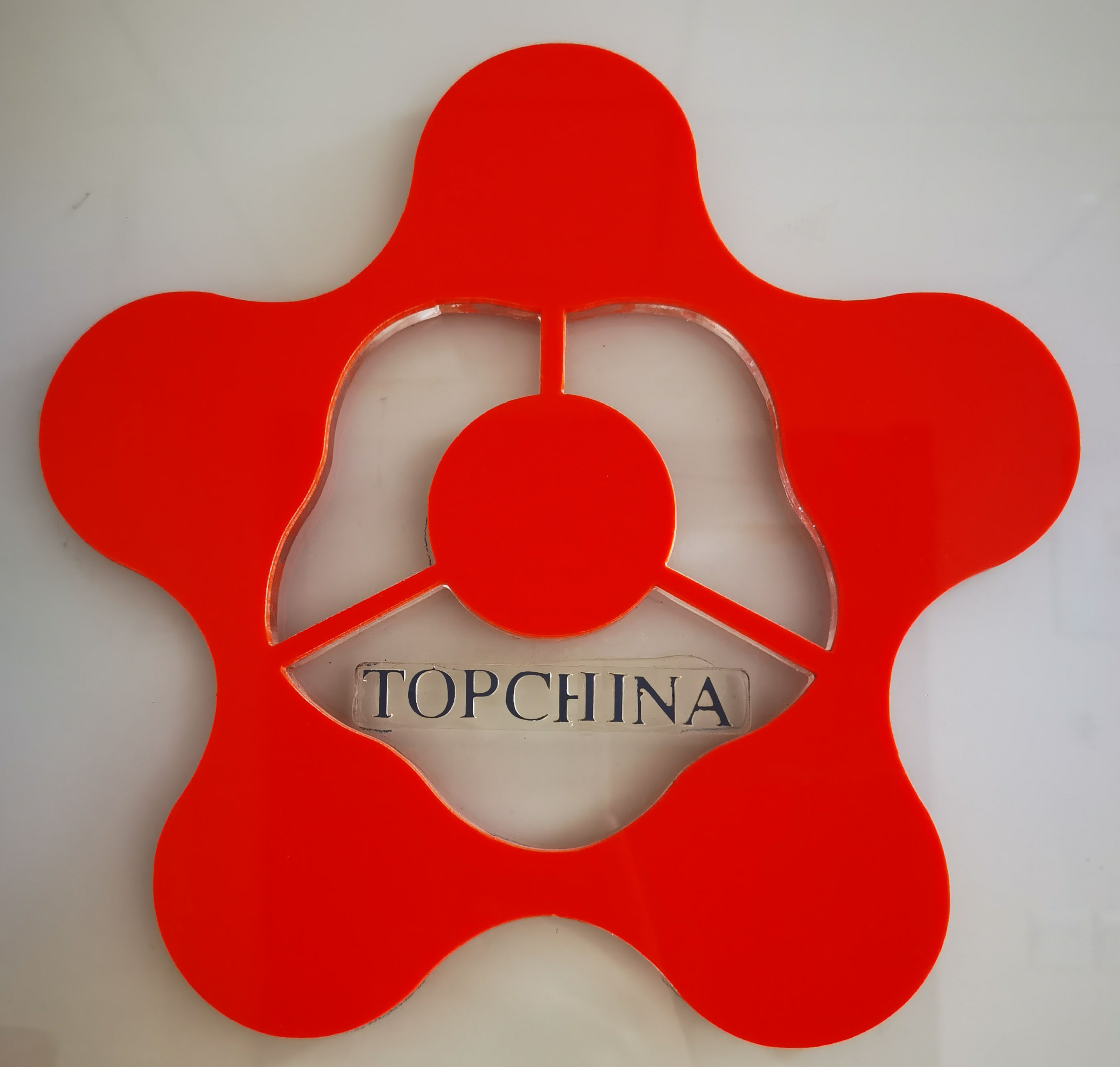Topchina Industry Limited logo