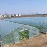 Film de serre agricole en PE anti-goutte, anti-buée, anti-poussière, certifié ISO 9001, fabriqué en Chine, épaisseur 200/250 microns, moulage par soufflage, protection UV