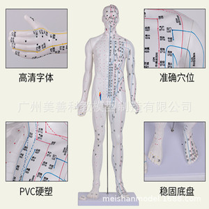 Mannequin anatomique d'acupuncture avec gravures artisanales, modèle de points d'acupuncture humains, 85CM - Product Image 1