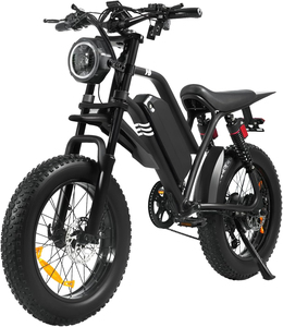 จักรยานเสือภูเขาไฟฟ้าแบบมีมอเตอร์ไร้แปรงถ่าน 1500 วัตต์ ระบบกันสะเทือนคู่ ปรับแต่งได้ 3 สี พร้อมยางขนาดใหญ่ 20 นิ้ว สำหรับทุกสภาพพื้นผิว - Product Image 2