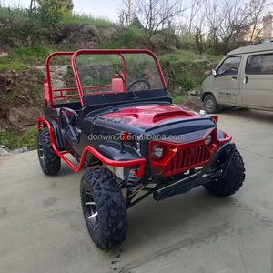 Le plus récent 250cc/350cc pas cher haute vitesse 2 places adultes hors route dune Buggy/<span class=keywords><strong>plage</strong></span> Buggy - Product Image 6