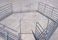 Clôture portable pour chevaux Haotian, panneau de clôture en acier pré-galvanisé, clôture de cour, hauteur 6'-9', enclos pour poneys/alpaca, modélisation 3D