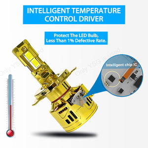 Contactez-moi pour 10,000 $300W Super haute puissance H1 LED ampoules de phares de voiture H4 H11 9005 9006 9012 Canbus H7 phare led pour voiture - Product Image 4