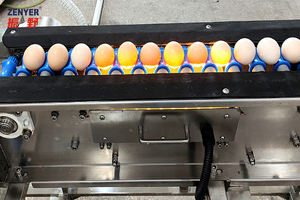 Zenyer Bán Buôn 200A Quy Mô Nhỏ Công Suất 3000 Trứng Máy Giặt Máy Khử Trùng Làm Sạch Công Nghệ Mới Trang Trại Trứng Chế Biến - Product Image 2