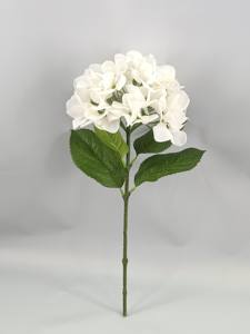 Haute qualité PE <span class=keywords><strong>Hortensia</strong></span> fleur boule vraie touche grande tête vert blanc pour mariage et décor de fête à la maison comprend tige - Product Image 2