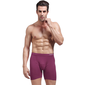 All'ingrosso cotone traspirante triangolo maglia sport Micro biancheria intima <span class=keywords><strong>uomo</strong></span> slip <span class=keywords><strong>Boxer</strong></span> - Product Image 5
