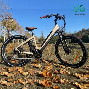 QUEENE/EU Warehouse 15AH 48V batería e bicicleta ciudad e-bike bicicleta eléctrica rápida ciudad para adultos ebike 750W bicicleta eléctrica