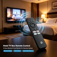 16-Tasten Sprachfernbedienung ABS-Kunststoffgehäuse für Smart TV Box OEM ODM Anpassbar Unterstützt Kundenspezifische Anpassung