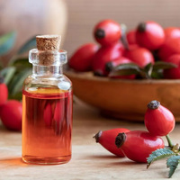 Minyak Pembawa Organik Grosir, Minyak Organik Murni 100% Alpukat, Almond, Jojoba, Anggur, Lidah Buaya, Argan untuk Wajah, Kulit, dan Rambut