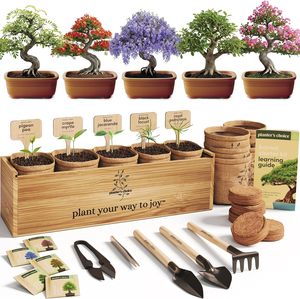 Planter's Choice Kit de démarrage d'arbre à bonsaï d'intérieur unique Source d'alimentation manuelle pour adultes bricolage artisanat passe-temps cadeau pour les amateurs de jardinage - Product Image 1