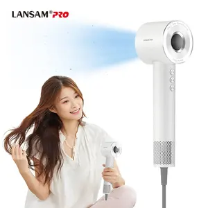 Lansam Wholesale Hot Sale Hotel Wall Mounted Electric Hair Dryer Bathroom Body High Speed Hair Dryer