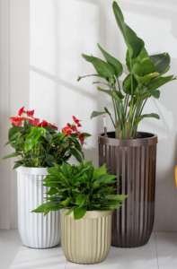 ชุดอุปกรณ์ตกแต่งบ้านและสวนแบบรดน้ำเองได้ JQ พร้อมกระถางบอนไซและกระถางดอกไม้ - Product Image 6