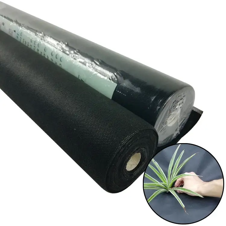Sunshine PP Agricultural Non Woven Fabric/Cold winter anti freeze plant fabric wind protect Agricultural Fabric ground cover