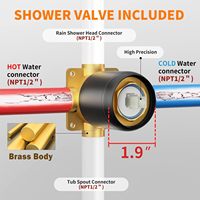 Ensemble de robinetterie de douche pour salle de bain, pommeau de douche effet pluie de 8 pouces, écologique, couleur noire moderne, nickel brossé